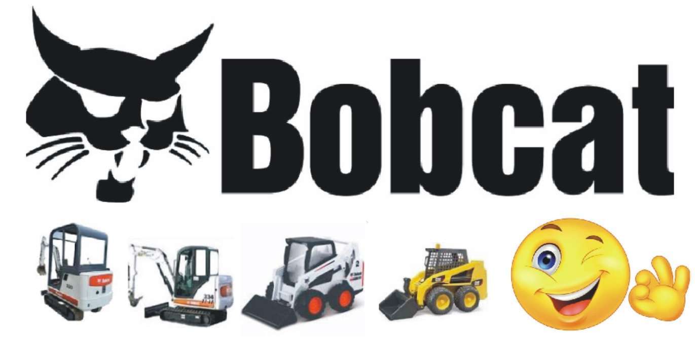 Bobcat general LOGO IMAGE FIT